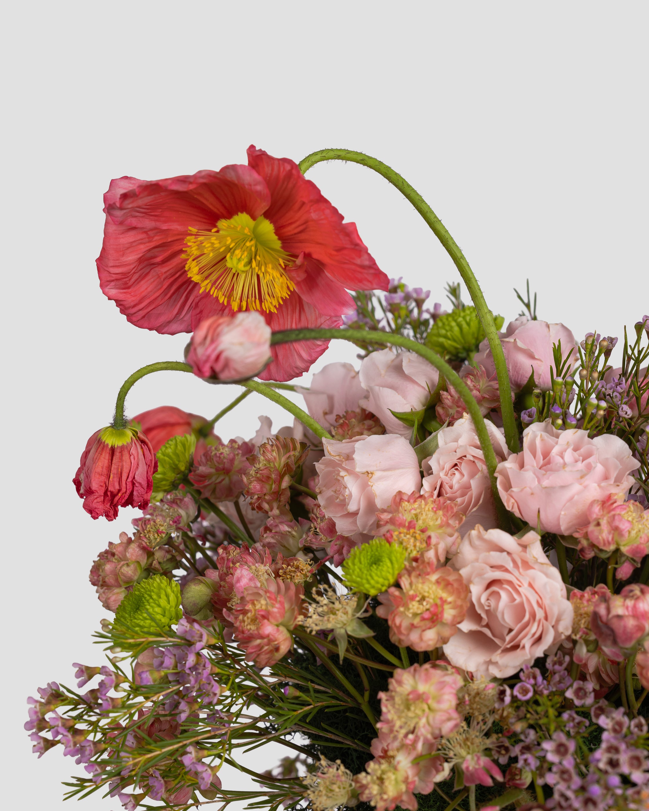 Calm Petals - Small Minimalistic Arrangement