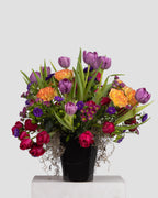 Arrangement N6