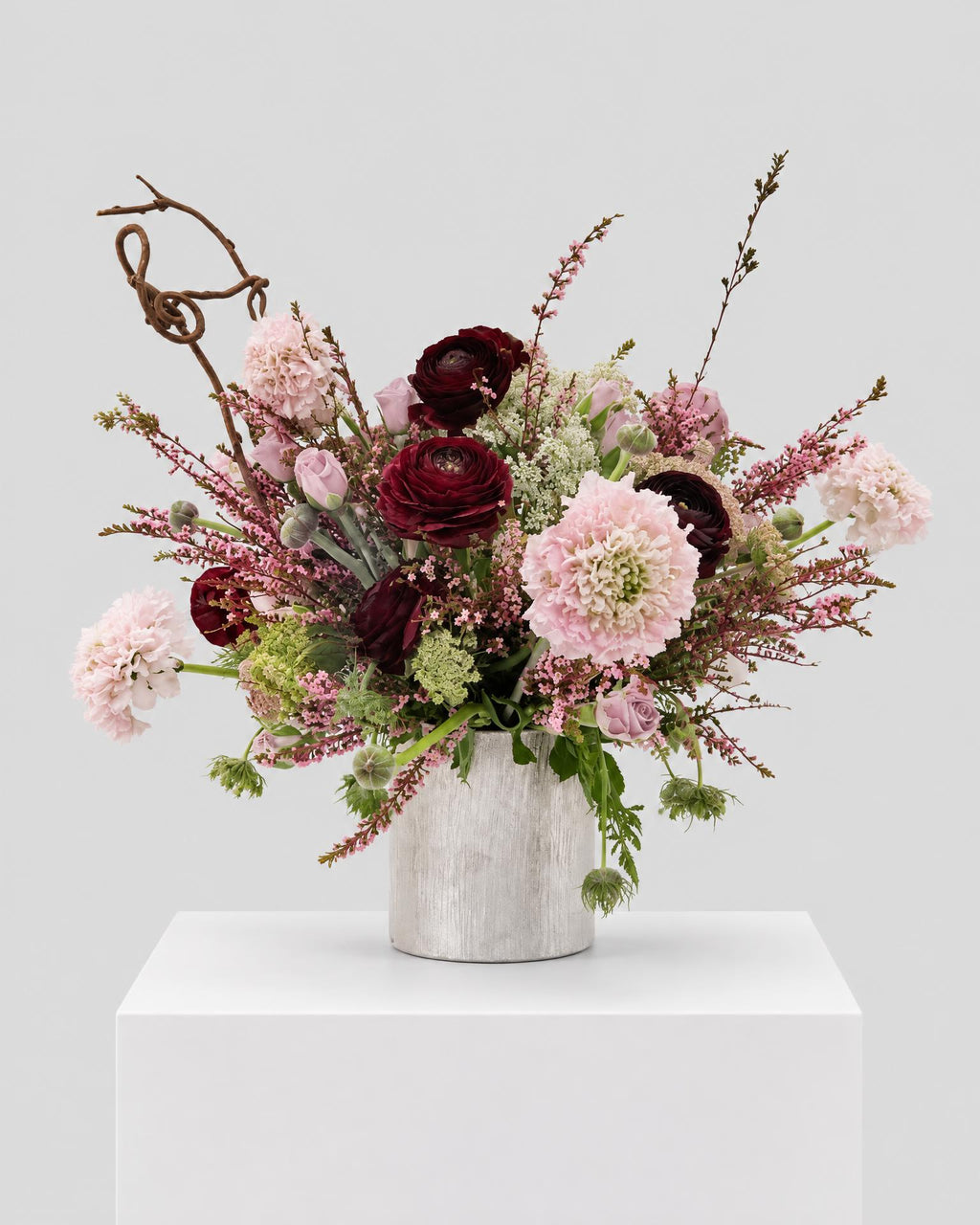 Blush Nocturne arrangement with burgundy ranunculus, blush pink blooms and twisting branches in a textured pale vase.