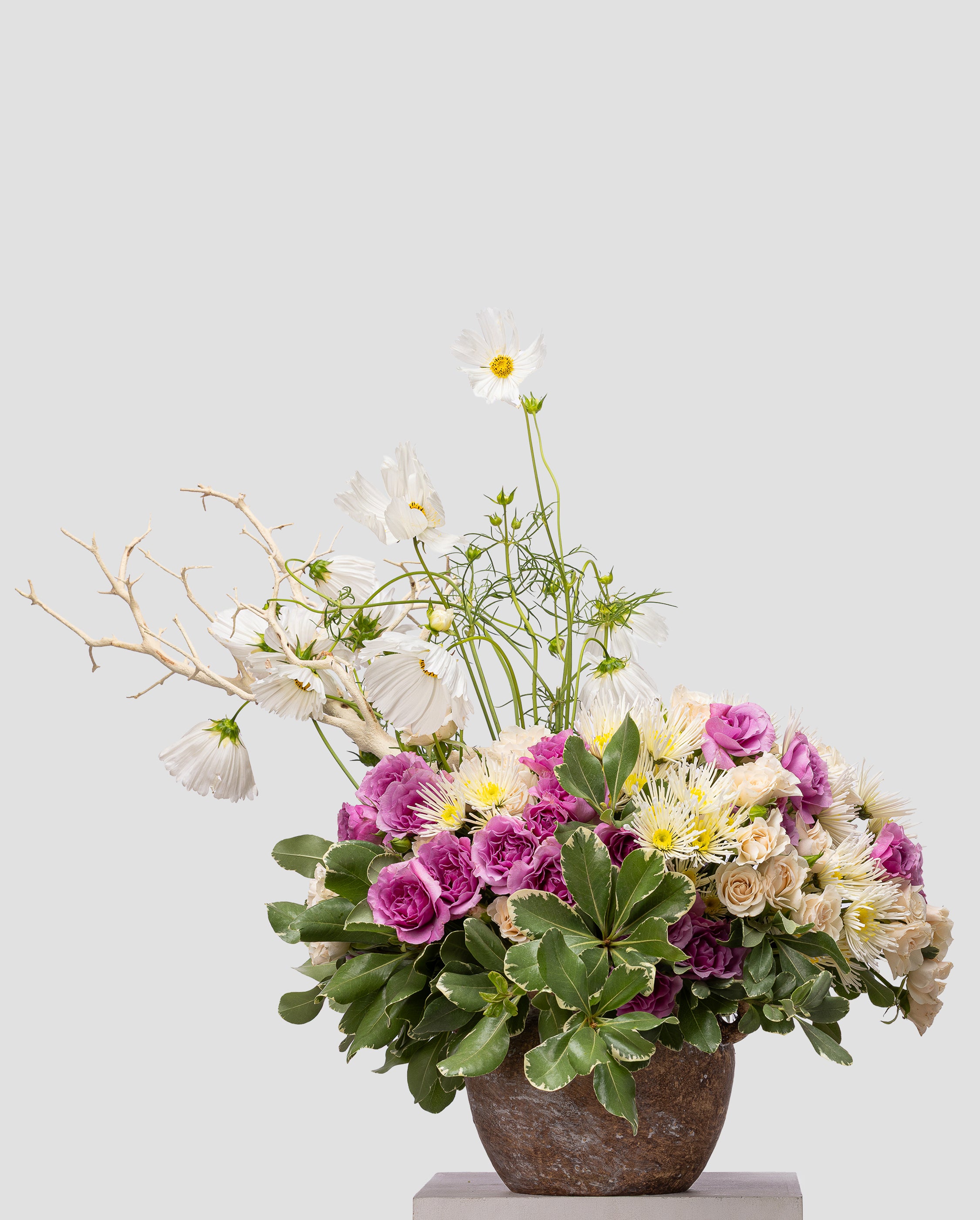Branch Rooted in Bloom — Medium Abstract Arrangement