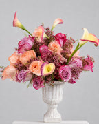 Blush Olympus