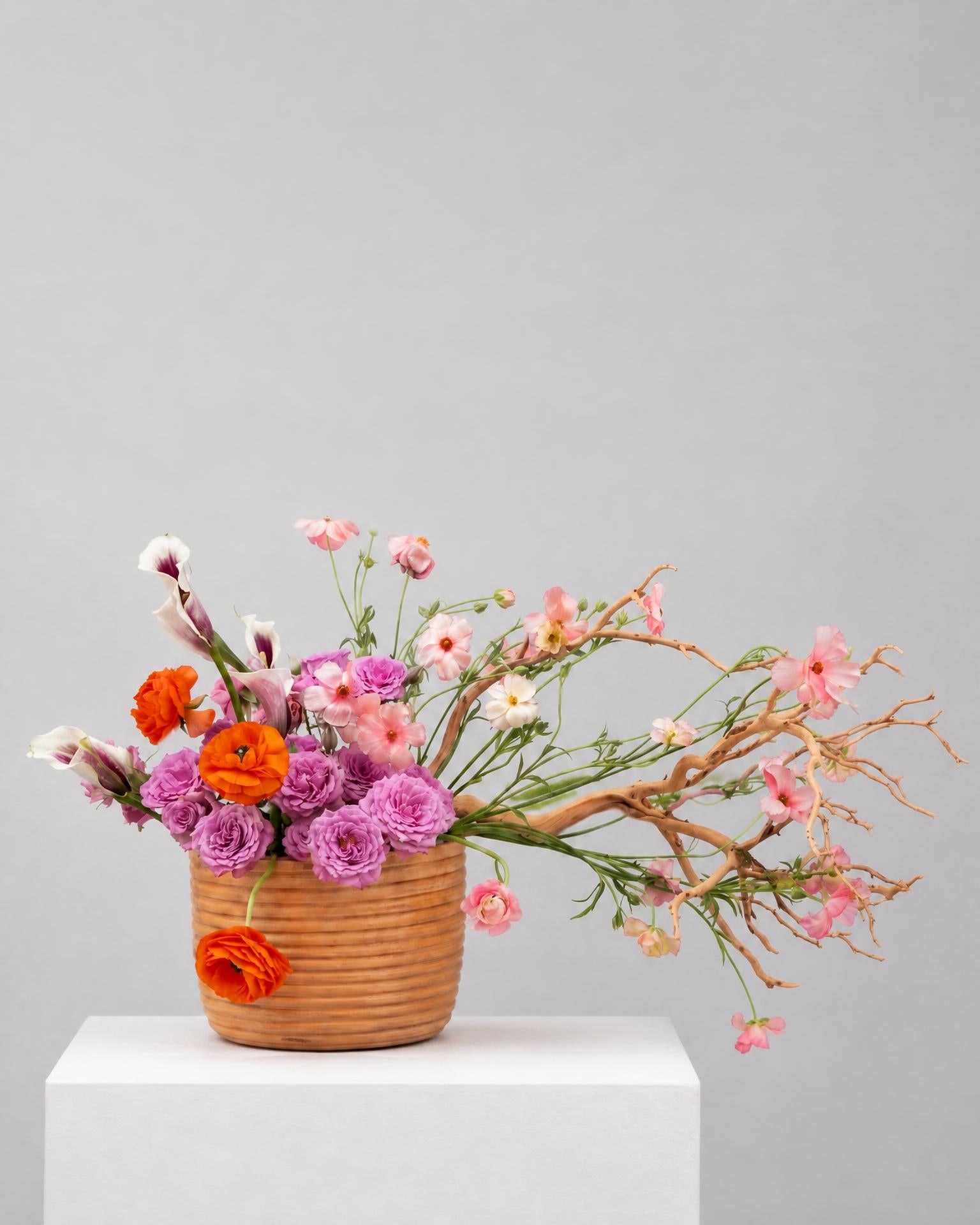 Desert Bloom