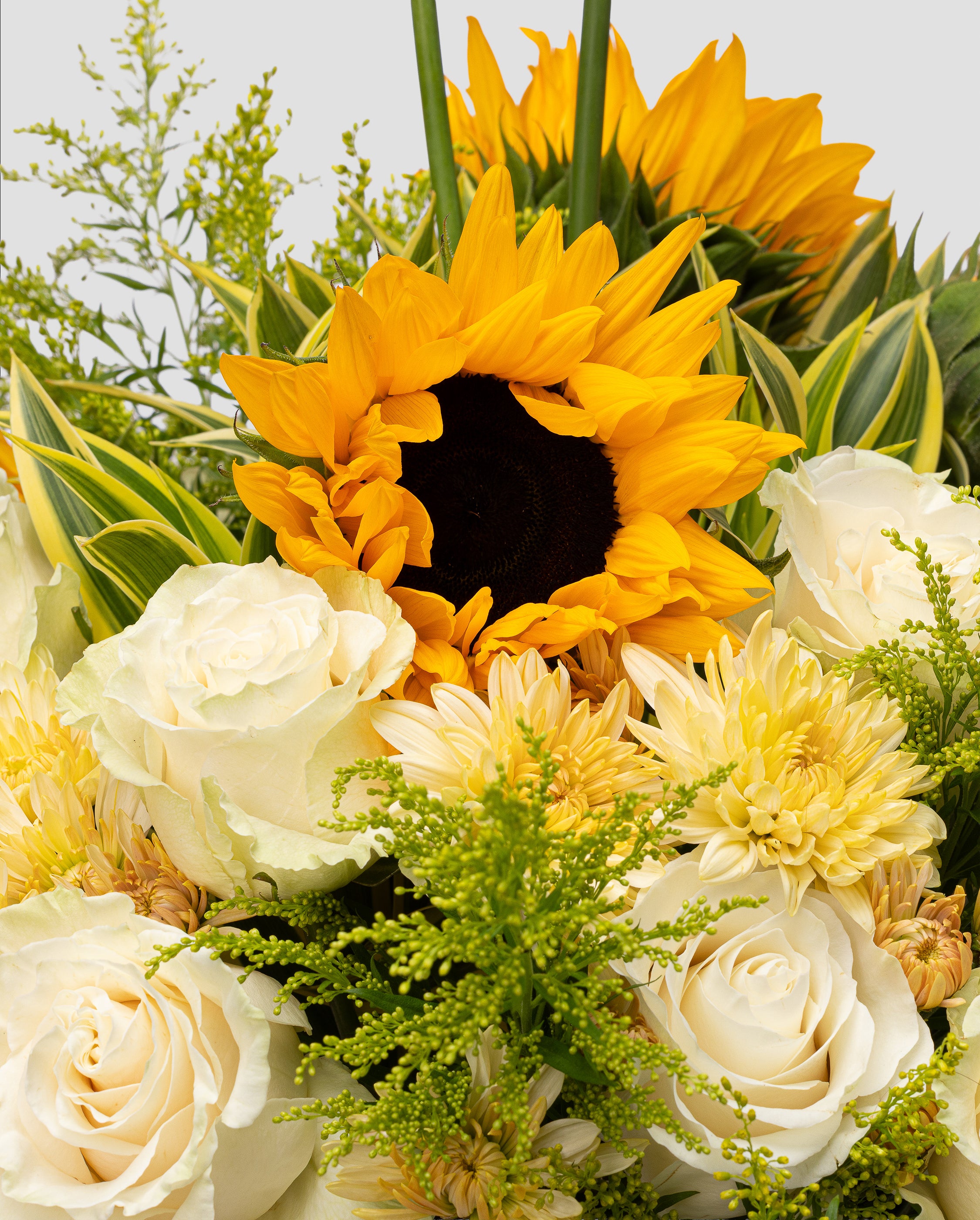 Structured Sunshine — Medium Impressionist Arrangement