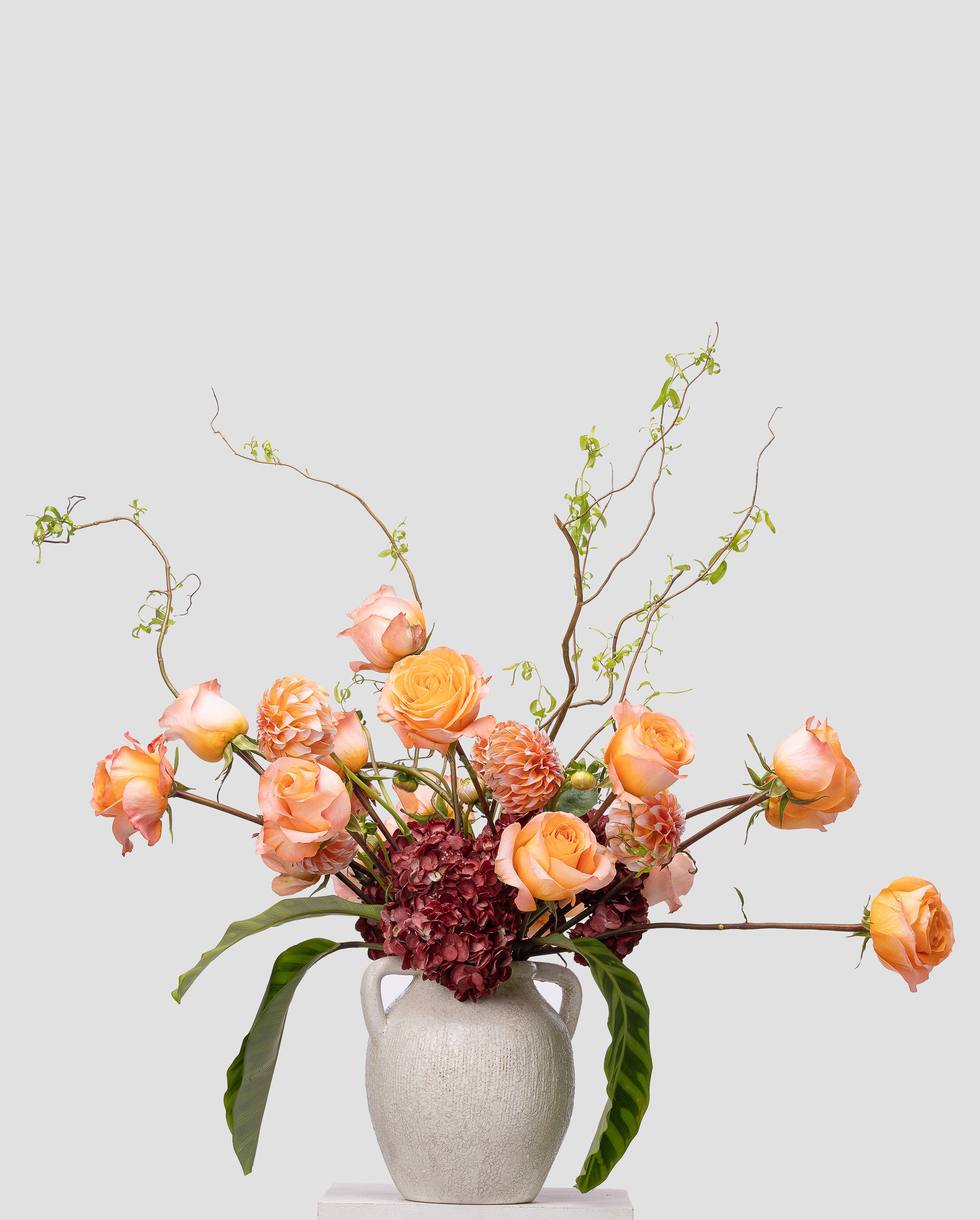 Wild Reverie — Medium Surrealist Arrangement