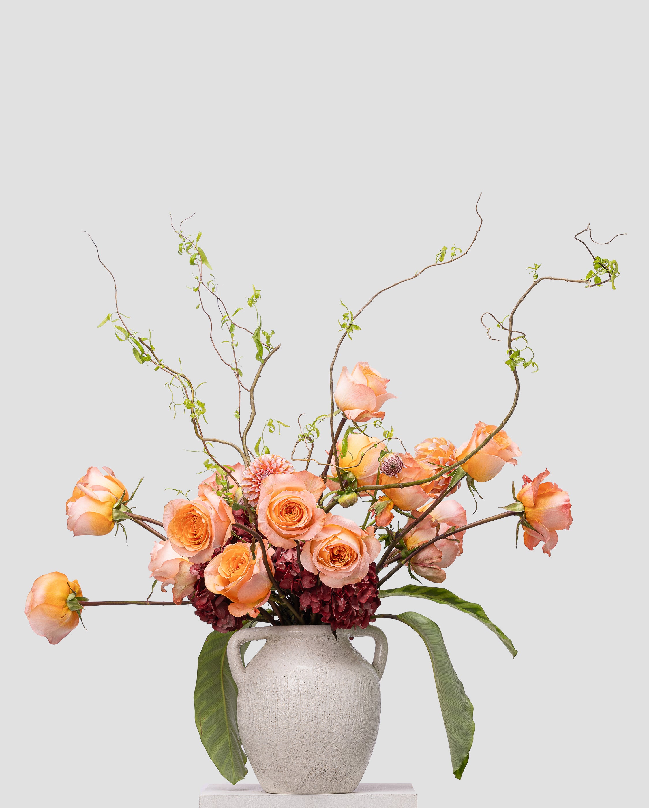 Wild Reverie — Medium Surrealist Arrangement